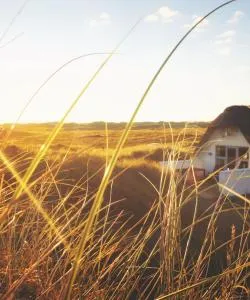 A beautiful view of Vestjylland