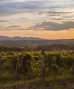 A beautiful view of Northern Hungary.