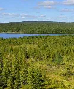 A beautiful view of Lapland
