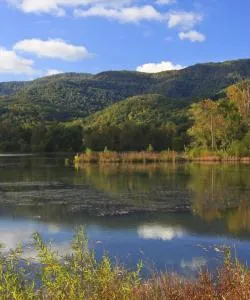A beautiful view of South Carolina