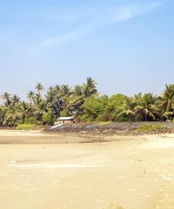 A beautiful view of Maharashtra