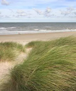 A beautiful view of Dutch Coast.