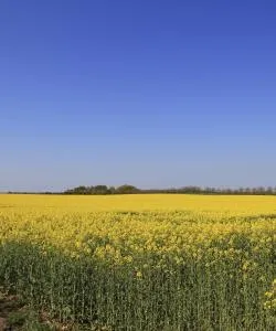 A beautiful view of Sjælland og Øerne.