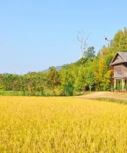 A beautiful view of North-Eastern Thailand