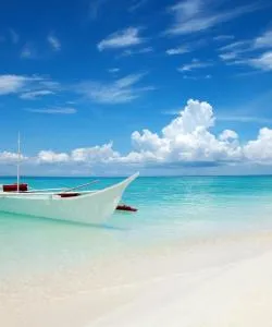 Vue imprenable sur : Île de Cebu