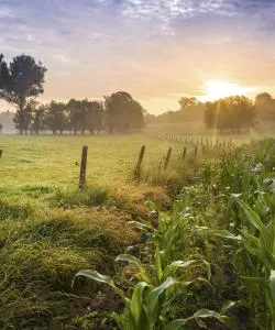 A beautiful view of East-Flanders
