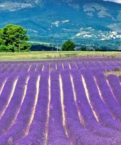 A beautiful view of Provence