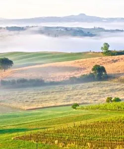 Uma linda vista de: Toscana