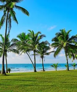 A beautiful view of Coast Region