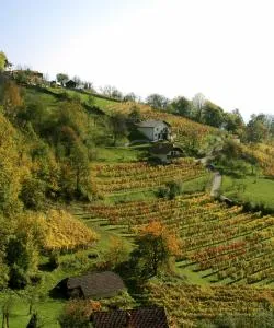 A beautiful view of Dolenjska (Lower Carniola)
