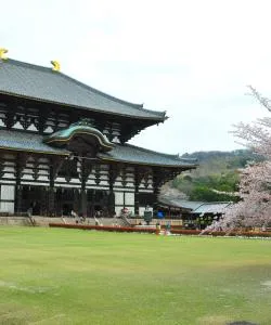 A beautiful view of Nara