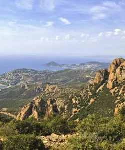 A beautiful view of Mimosa Road 