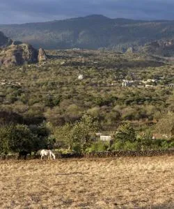 A beautiful view of Morelos.