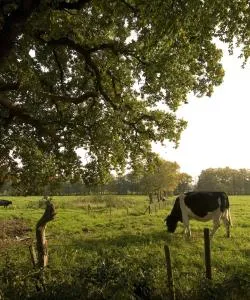 A beautiful view of Groningen Province