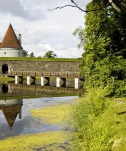 A beautiful view of Saaremaa