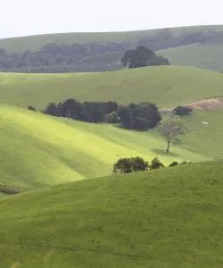 A beautiful view of Gippsland