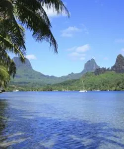 A beautiful view of Moorea