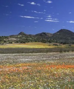 A beautiful view of Northern Cape