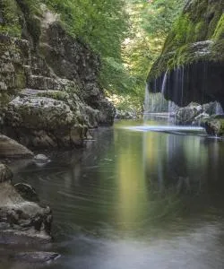 A beautiful view of Banat