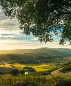 A beautiful view of Sonoma County.