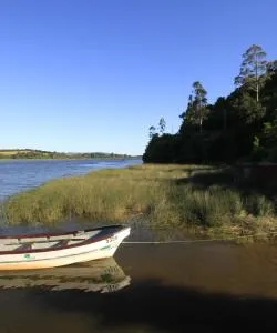 A beautiful view of Los Rios.