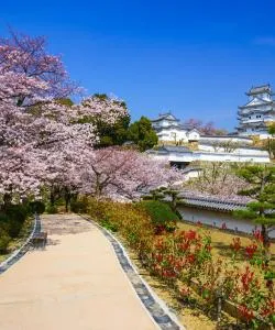 A beautiful view of Hyogo