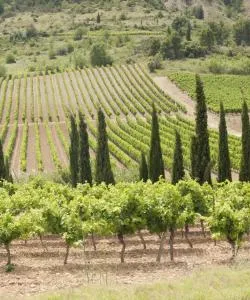 A beautiful view of Corbières