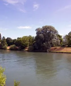 A beautiful view of Marne La Vallée