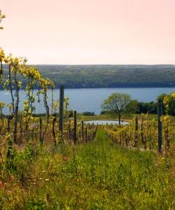 Una bonita panorámica de Seneca Lake Wine Trail