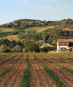 A beautiful view of Drôme Provençale.