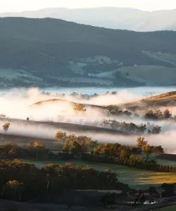 A beautiful view of Yarra Valley.