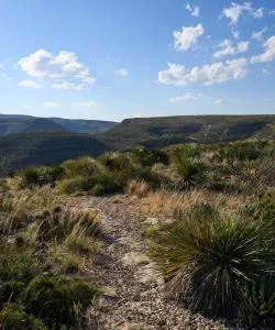 A beautiful view of Carlsbad Caverns National Park.