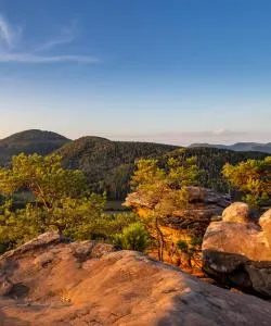 A beautiful view of Palatinate Forest.