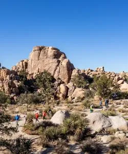 A beautiful view of Joshua Tree National Park