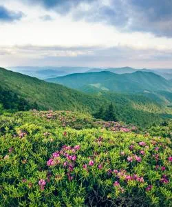 A beautiful view of Tennessee