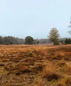 A beautiful view of Achterhoek.