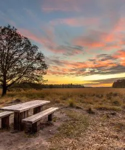 A beautiful view of Drenthe