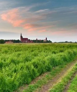 A beautiful view of Saxony-Anhalt