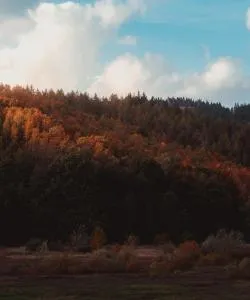 A beautiful view of Harz