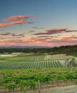 A beautiful view of Hunter Valley