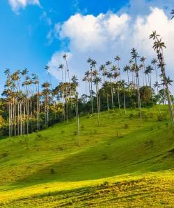 A beautiful view of Quindio