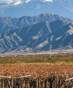 A beautiful view of Mendoza Province