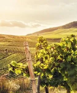 A beautiful view of Hessen