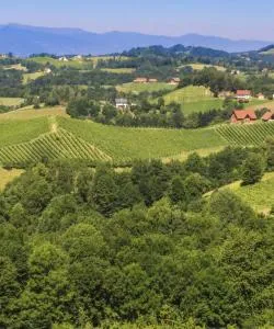 A beautiful view of Styria