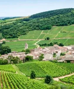 A beautiful view of Burgundy.