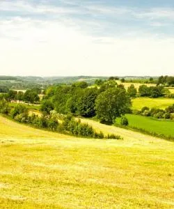 A beautiful view of Limburg
