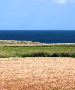 A beautiful view of Salento