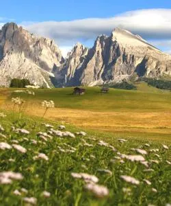 A beautiful view of South Tyrol