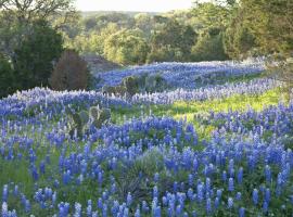 Texas Hill Country