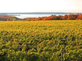 Traverse City Wineries